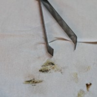 胡萝卜肉皮冻(豆浆机版)——懒办法巧做美颜菜的做法 图解5 -->