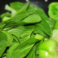 青菜香菇的做法 图解6 -->