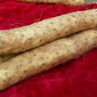 酸甜蜜渍蓝莓山药泥的做法 图解1 -->