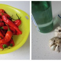 蒜蓉剁椒酱--纯手工珍藏版居家必备的自制万能调味料的做法 图解1 -->