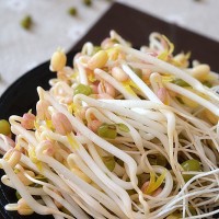 自制绿豆芽的做法 图解8 -->