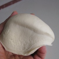 白馒头的做法 图解9 -->