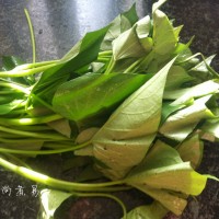 蒜蓉红薯苗的做法 图解1 -->
