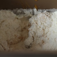 ~南瓜面包~丰收季的香甜点心(二)的做法 图解6 -->