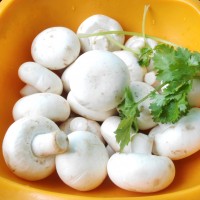 油煎蘑菇的做法 图解1 -->