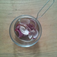 金沙荷花的做法 图解9 -->