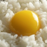 台湾阿基师版——鸡蛋炒饭的做法 图解3 -->