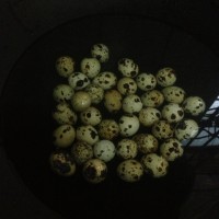 虎皮鹌鹑蛋的做法 图解1 -->