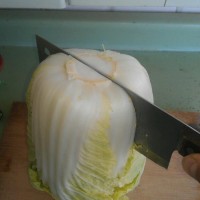 ƺݲ˵ ͼ1 -->