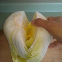 ƺݲ˵ ͼ2 -->