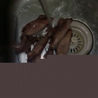 ʽȦ ͼ1 -->