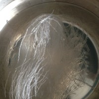 粉丝扇贝的做法 图解6 -->