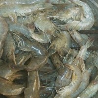美味香辣虾的做法 图解2 -->