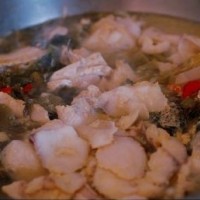 酸菜鱼的做法 图解9 -->