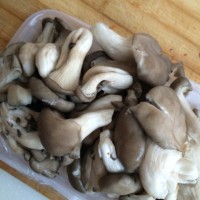 牛肉粉丝煲--牛腩白菜粉丝煲的做法 图解2 -->