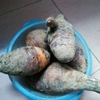 香芋扣肉的做法 图解3 -->