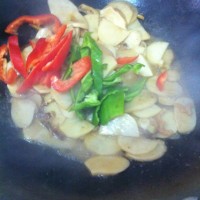 双椒爆炒土豆杏鲍菇(创意菜)的做法 图解8 -->