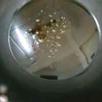 红烧茄子的做法 图解8 -->