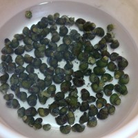 香辣螺蛳的做法 图解1 -->