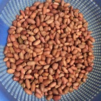 盐焗花生米的做法 图解1 -->