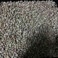 盐焗花生米的做法 图解9 -->