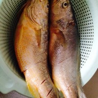 干烧黄鱼的做法 图解1 -->