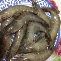 番茄大虾(靠大虾)的做法图解1