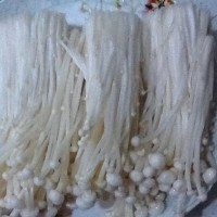 白灼金针菇的做法图解1