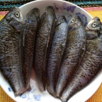 酥鲫鱼的做法图解1