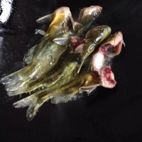 宝宝辅食—昂刺鱼汤煮鱼面的做法图解1