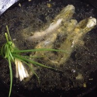 宝宝辅食—昂刺鱼汤煮鱼面的做法图解4