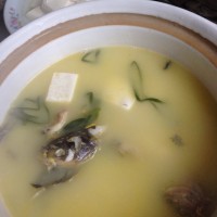 宝宝辅食—昂刺鱼汤煮鱼面的做法图解6
