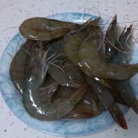 茄汁大虾的做法图解1