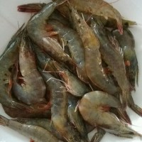 剁椒孜然焖大虾的做法图解1