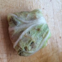 白菜菜聚福袋的做法图解4