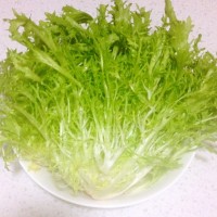 凉拌苦苣的做法图解1