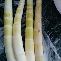 大喜大牛肉粉之咸肉炖春笋的做法图解1