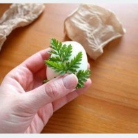 印花茶叶蛋的做法图解3