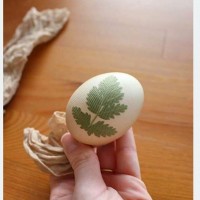 印花茶叶蛋的做法图解4