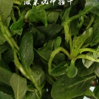 榨菜肉丝炒年糕--乌江榨菜的做法图解1