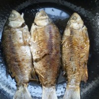 鲫鱼豆腐汤的做法图解3