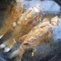 鲫鱼豆腐汤的做法图解4
