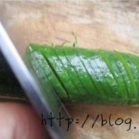蓑衣黄瓜的做法图解4