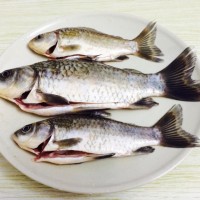 鲫鱼豆腐汤的做法图解3