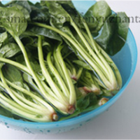 芝麻枸杞拌菠菜的做法图解2