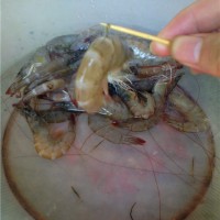 清蒸虾的做法图解2