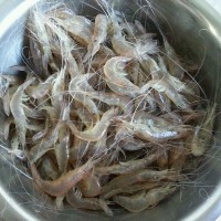 生拌虾的做法图解1
