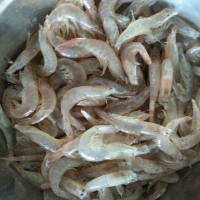 生拌虾的做法图解2