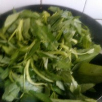 炝炒空心菜(藤菜,钢管菜)的做法图解4