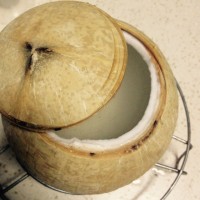 原只椰子鲜奶炖蛋的做法图解1